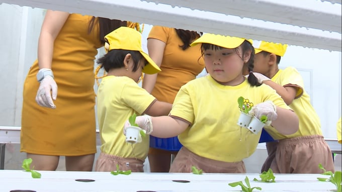 Các bé thích thú trải nghiệm trồng rau.