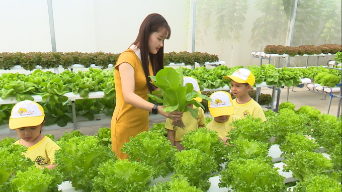 Cô giáo hướng dẫn trẻ cách trồng rau tại vườn.