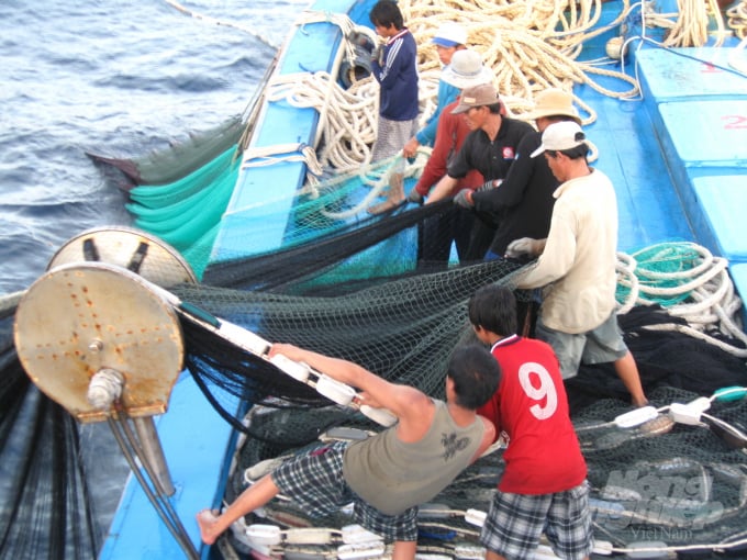 Đối với nghề lưới vây rút chì đánh bắt cá ngừ sọc dưa, các công việc quay tời kéo lưới phải được thực hiện đồng bộ. Ảnh: Ngọc Thăng.