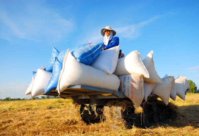 Thắng lợi về sản xuất lúa cả nước trong vụ đông xuân 2020 đã góp phần quan trọng vào sự tăng trưởng chung của toàn ngành nông nghiệp trong bối cảnh nhiều khó khăn, thách thức. Ảnh: Lê Hoàng Vũ.