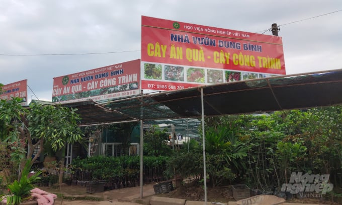 Các cơ sở kinh doanh giống cây 'bao vây' Học viện Nông nghiệp Việt Nam. Ảnh: Kế Toại. 