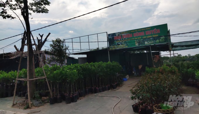 Một nhà vườn khu vực xã Đa Tốn lấy thương hiệu 'Trung tâm Cây giống Học viện nông nghiệp'. Ảnh: Kế Toại.