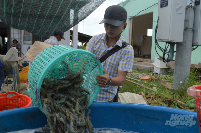 Nuôi trồng thủy sản tiếp tục phát triển mạnh, giá trị sản xuất chiếm tỷ trọng cao ngành nông nghiệp Vĩnh Thuận. Ảnh: Trung Chánh.