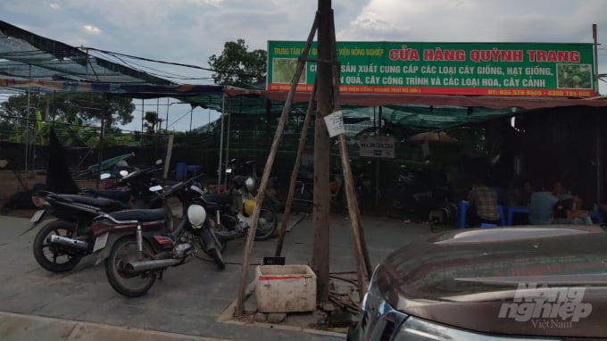 Nhộn nhịp mua bán cây giống tại các cơ sở kinh doanh giống gần Học viện Nông nghiệp Việt Nam. Ảnh: Kế Toại.