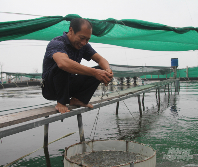 Phát triển nghề nuôi tôm theo hướng bền vững là kế hoạch mà Nghệ An hướng tới. Ảnh: Việt Khánh.