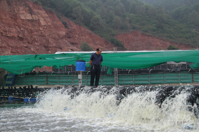 Dù còn tồn tại những hạn chế nhất định nhưng nhìn chung nghề nuôi tôm tại Nghệ An đang phát triển đúng hướng. Ảnh: Việt Khánh.