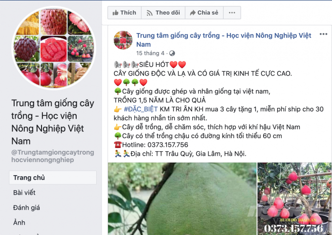 Một cửa hàng kinh doanh online trên facebook bán bưởi ruby Thái Lan với hình ảnh được chỉnh sửa, quả đỏ như máu. Thực tế bưởi ruby Thái Lan có da màu xanh, ruột đỏ. Ảnh chụp từ màn hình.