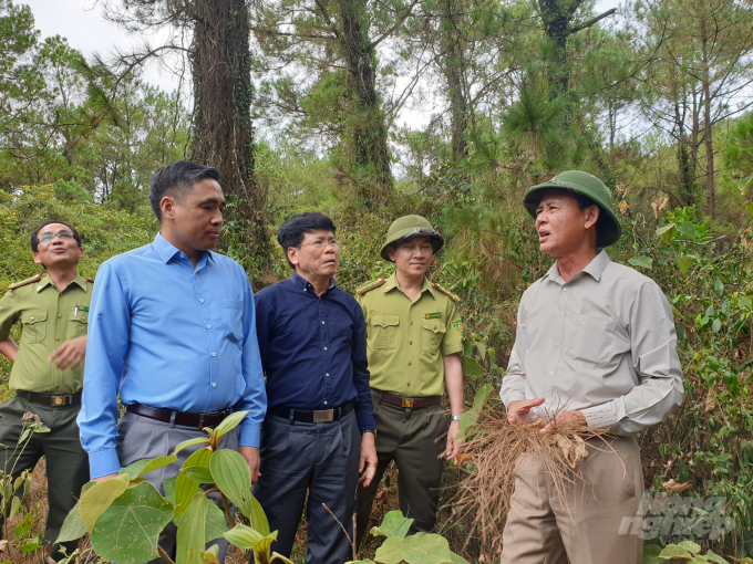 Thứ trưởng Thường trực Bộ NN - PTNT Hà Công Tuấn (thứ nhất bên phải) kiểm tra công tác xử lý thực bì tại rừng thông huyện Nam Đàn. Ảnh: Thanh Nga.