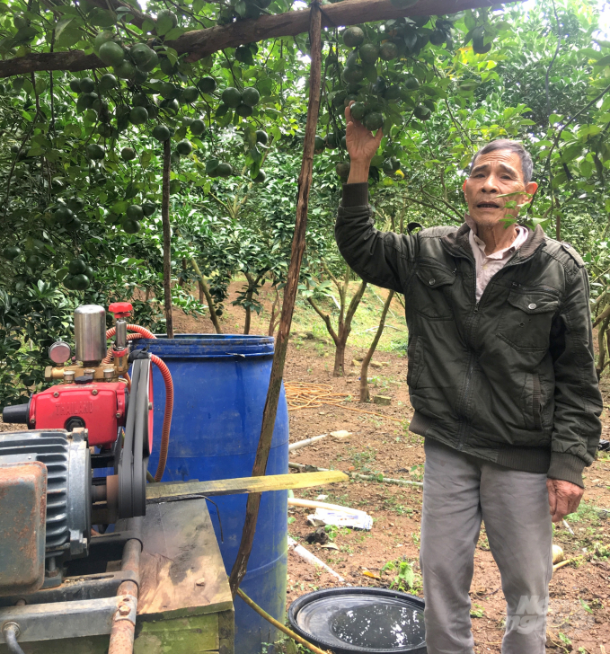 Các chủ nhà vườn trồng cây ăn quả có giá trị cao ở Hoài Ân được chính quyền hỗ trợ kinh phí để xây dựng hệ thống tưới trong vườn cây. Ảnh: Vũ Đình Thung.