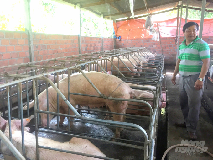 Người nuôi heo ở Bình Định đang đi theo chăn nuôi an toàn sinh học. Ảnh: Vũ Đình Thung.