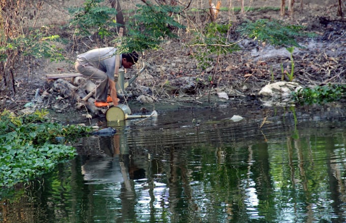 Người dân TP Thanh Hóa sử dụng nước ô nhiễm để tưới rau. Ảnh: Võ Dũng.