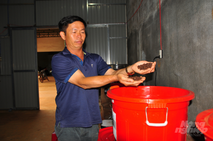 HTX Nông nghiệp Đoàn Kết (huyện Đăk Song, Đăk Nông) tổ chức sản xuất cà phê sạch và đẩy mạnh chế biến để nâng giá trị cà phê. Ảnh: M.H.