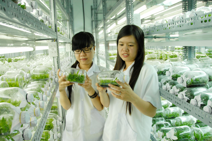 Nghiên cứu giống cây trồng mới ở khu công nghiệp công nghê cao tại TP.HCM. Ảnh: Lê Hoàng Vũ.