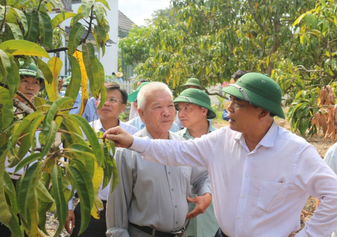 Bộ trưởng Nguyễn Xuân Cường tham quan vườn xoài nhà ông Phạm Ngọc Đức, ở thôn Trung Hiệp 1, xã Cam Hiệp Bắc, huyện Cam Lâm (Khánh Hòa). Ảnh: KS.