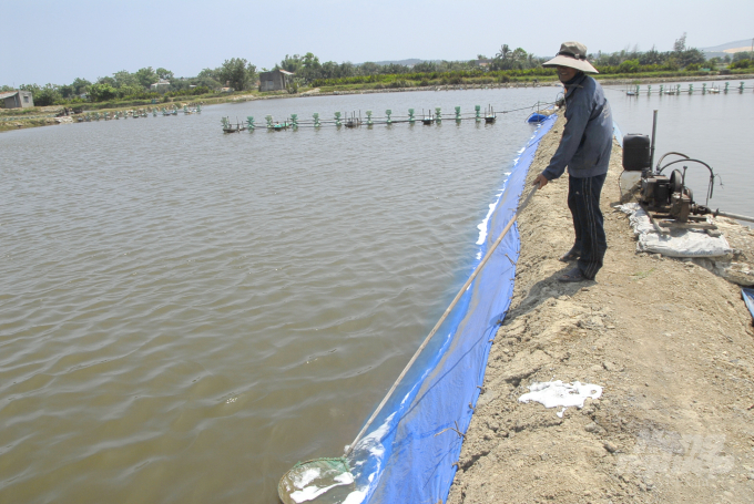 Nắng nóng gay gắt gây bất thuận cho vụ tôm nuôi thứ 2 năm 2020 tại Bình Định. Ảnh: Vũ Đình Thung.