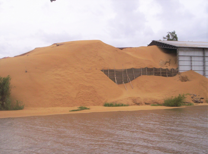 Chế biến lúa gạo ở ĐBSCL mỗi năm thải ra khoảng 5 triệu tấn trấu, nếu không được tận dụng sẽ gây ô nhiễm môi trường. Ảnh: Trung Chánh.