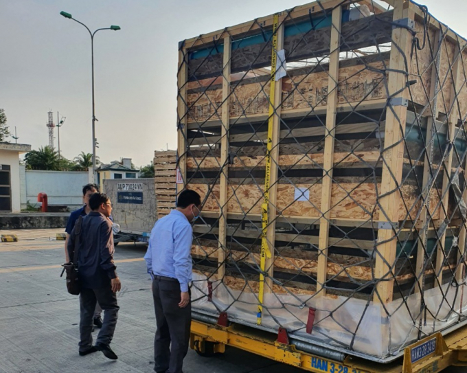Nhập khẩu lợn giống bằng đường hàng không tại sân bay Nội Bài. Ảnh: Hải Lê.