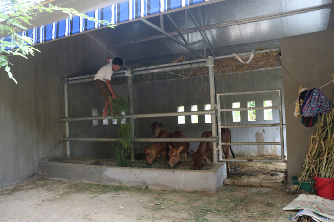 Phát kiến xây chuồng bò có mức giá hàng trăm triệu được đưa ra trên cơ sở thống nhất của các bên liên quan. Ảnh: VK.