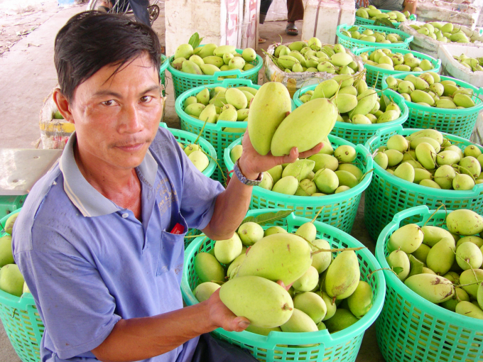 Hoạt động xuất khẩu nông sản được kết nối trở lại, phần nào giúp cho hợp tác xã nông nghiệp ở Đồng Tháp giảm bớt áp lực. Ảnh: Lê Hoàng Vũ.