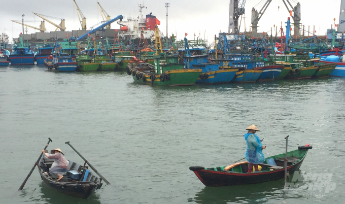 Cảng cá Quy Nhơn đã được Chính phủ phê duyệt là cảng cá loại I. Ảnh: Vũ Đình Thung.