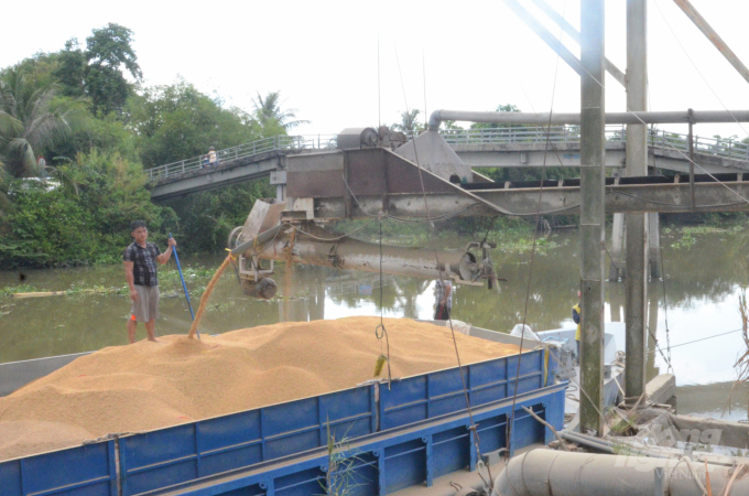 Lúa sau khi thu hoạch về, được chuyền tải bằng băng chuyền trong quá trình phơi sấy, nông dân không còn phải khuân vác nặng nhọc. Ảnh: Minh Đãm.