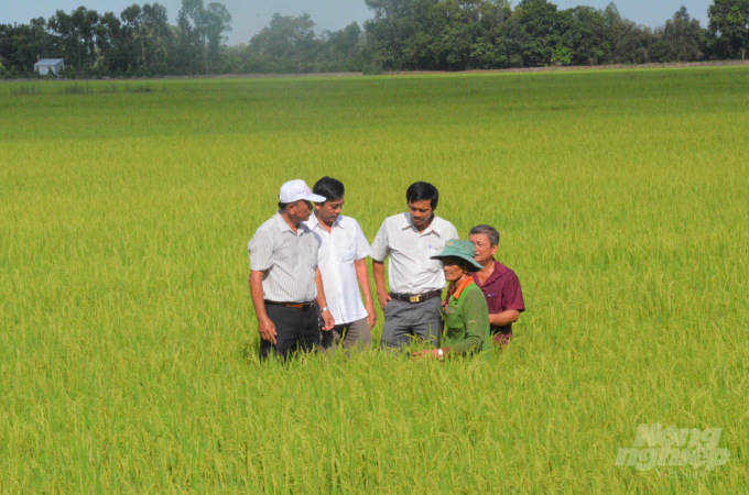 Xã viên HTX Gò Gòn cùng cán bộ thăm ruộng lúa chuẩn bị thu hoạch, nhờ áp dụng cơ giới hóa, nông dân không còn phải vất vả, bán mặt cho đất bán lưng cho trời, để làm ra hạt lúa. Ảnh: Minh Đãm.