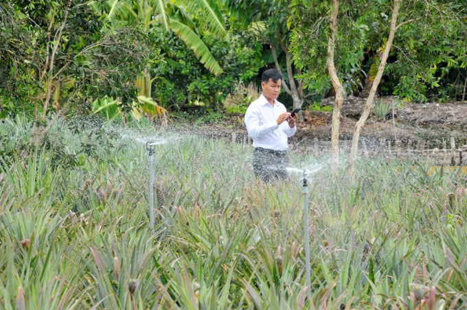Nông dân sử dụng công nghệ số điều khiển từ xa bằng điện thoại để tưới nước cho vườn khóm. Ảnh: Lê Hoàng Vũ.