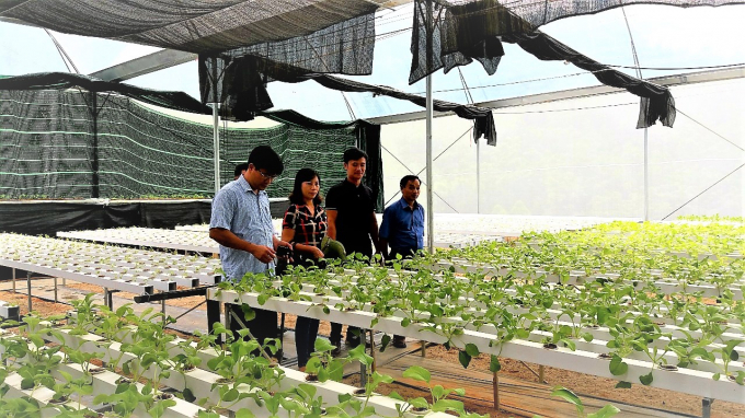 9X khởi nghiệp trồng rau công nghệ cao thành công  Nhìn ra tỉnh bạn  Cổng  thông tin điện tử tỉnh Thái Nguyên