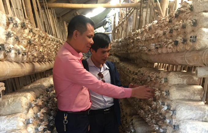 Anh Nguyễn Văn Thành (áo hồng) giới thiệu về mô hình trồng nấm của HTX. Ảnh: Mai Chiến.