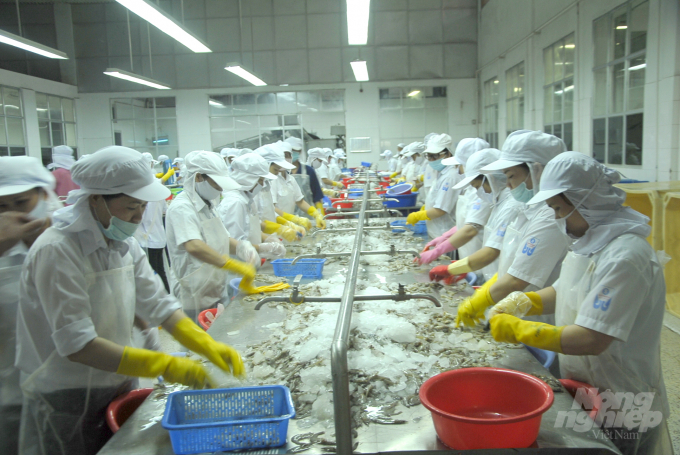 Hàng năm Công ty CP Đông lạnh Quy Nhơn (Bình Định) xuất khẩu khoảng 1.000 tấn tôm, chủ yếu là tôm thẻ chân trắng. Ảnh: Vũ Đình Thung.