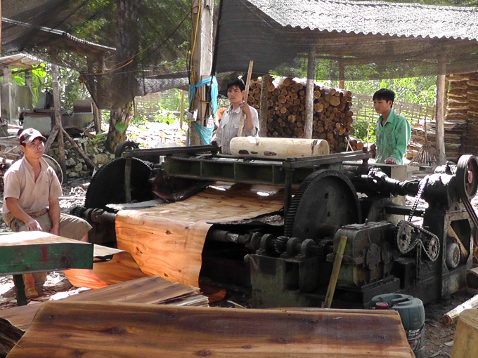 Ván dán là mặt hàng xuất khẩu đáng kể của Việt Nam, thu hút nhiều doanh nghiệp, cơ sở sản xuất quy mô nhỏ. Ảnh: TL.