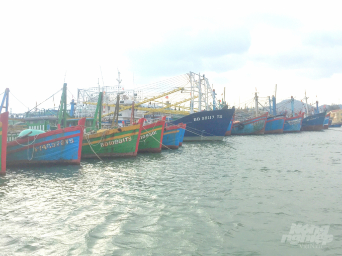 Theo Sở TN-MT Bình Định, Luật Thủy sản có quy định tiêu chí cảng cá nhưng không có quy định giao diện tích mặt nước cảng cá. Ảnh: Vũ Đình Thung.