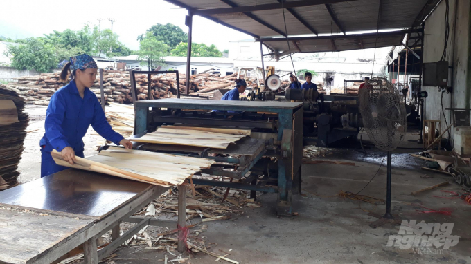 Một xưởng chế biến gỗ nguyên liệu ở Hòa Bình. Ảnh: Trần Hồ.