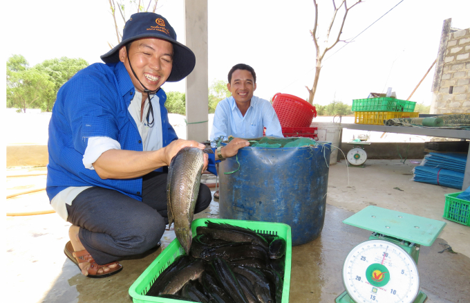 Anh Trần Kinh Phi: 'Nuôi cá lóc đã giúp ngư dân chúng tôi thoát khỏi đói nghèo'. Ảnh: N.Tâm