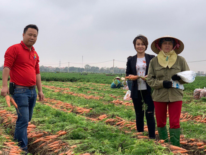 Cán bộ thu mua nông sản tươi sống của Big C hỗ trợ tiêu thụ cà rốt cho bà con nông dân Hải Dương. Ảnh: CR.