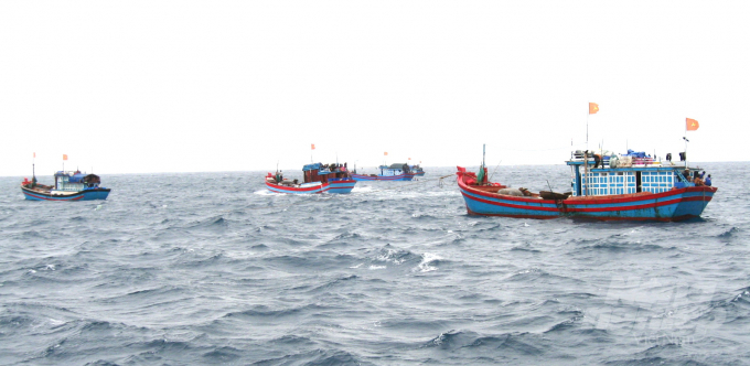 2 năm nay biển vắng cá nên những chuyến biển của ngư dân Bình Định đều đánh bắt kém hiệu quả. Ảnh: Vũ Đình Thung.