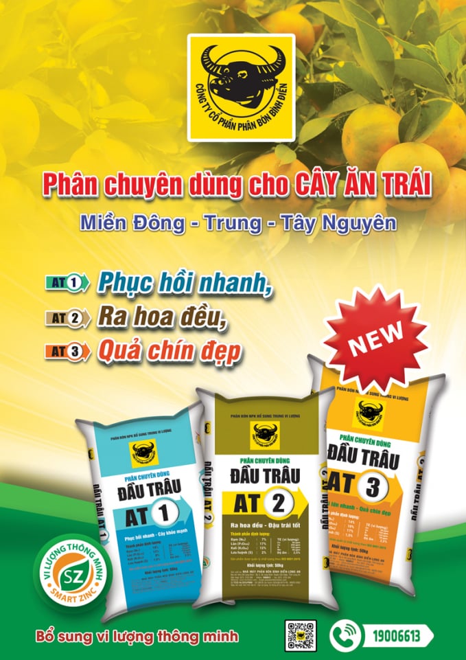 Phân bón Đầu Trâu chuyên dùng rất tốt cho bơ và các loại cây trồng của Công ty Bình Điền. Ảnh: Phan Nam.