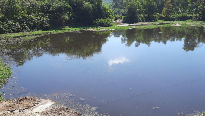 Việc xả nước thải của trại lợn siêu nạc xuống khu vực hồ chứa nước Tràng Đen là có thật.