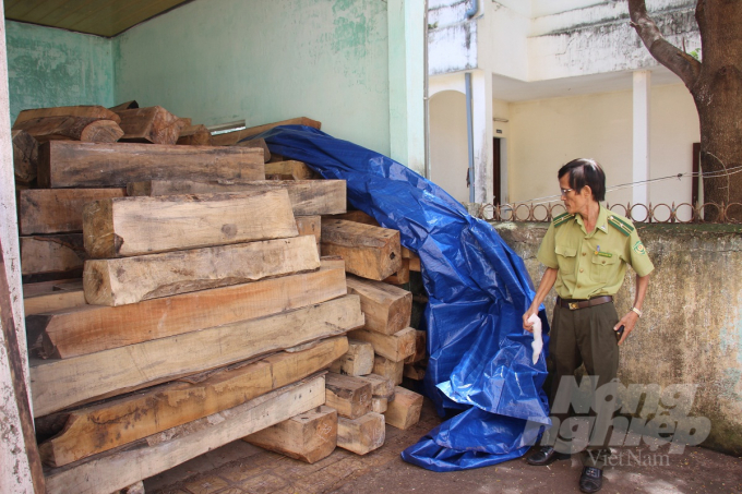 Số gỗ khai thác trái phép từ cánh rừng bị tàn phá ở xã An Hưng (huyện An Lão) vào năm 2017 được ngành chức năng tạm giữ. Ảnh: Vũ Đình Thung
