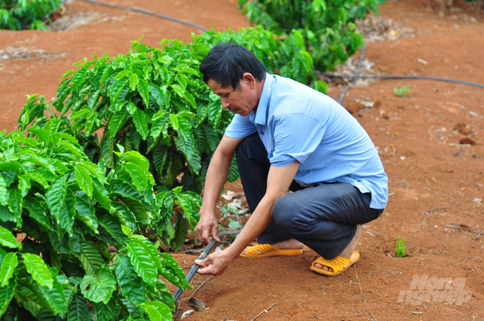 Được sự hỗ trợ của dự án VnSAT, nông dân Đăk Nông lắp đặt hệ thống tưới tiết kiệm, giúp cà phê phát triển mạnh trong mùa khô. Ảnh: M.H.