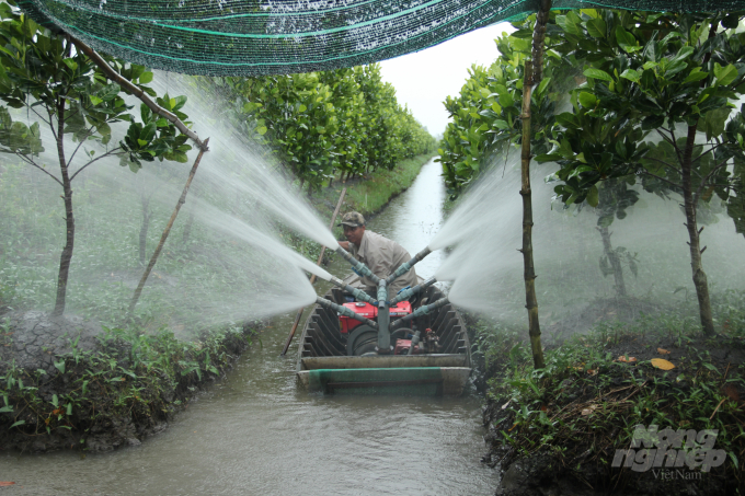 Mô hình trồng mít đã và đang mang lại hiệu quả kinh tế cao cho người dân xã Phụng Hiệp. Ảnh: Tuấn Phát