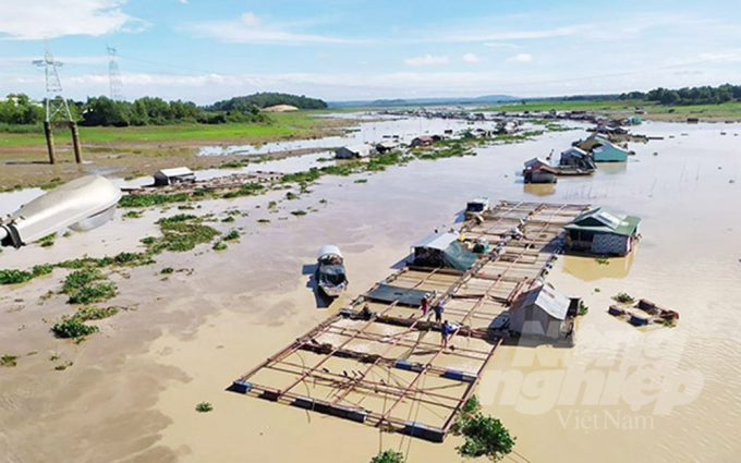 Làng cá bè tại xã Long Sơn - TP. Vũng Tàu (BR-VT) đang đối mặt với tình trạng cá chết hàng loạt. Ảnh: MS