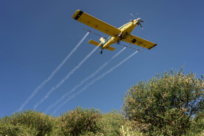 Máy bay phun thuốc diệt châu chấu tại Kenya, châu Phi. Ảnh: EPA.