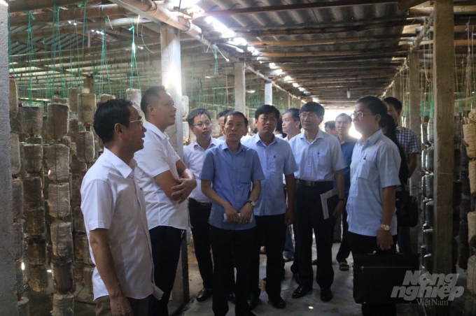 Đoàn công tác của Sở NN-PTNT Nam Định tham quan khu sản xuất nấm bào ngư của HTX Dịch vụ Linh Phát. Ảnh: Mai Chiến.