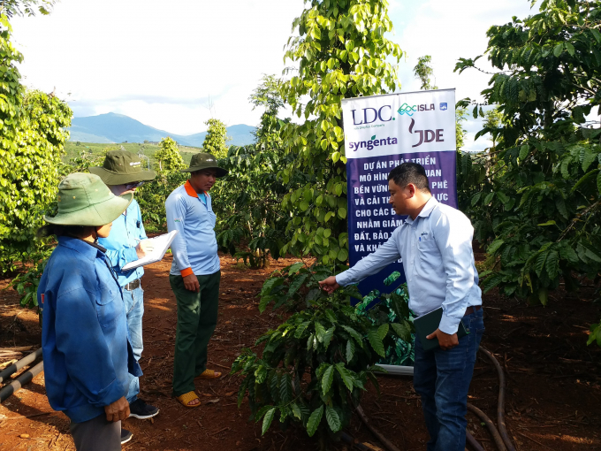 Liên kết chuỗi giá trị tạo ra những vùng sản xuất cà phê bền vững, đáp ứng yêu cầu thị trường nhập khẩu.