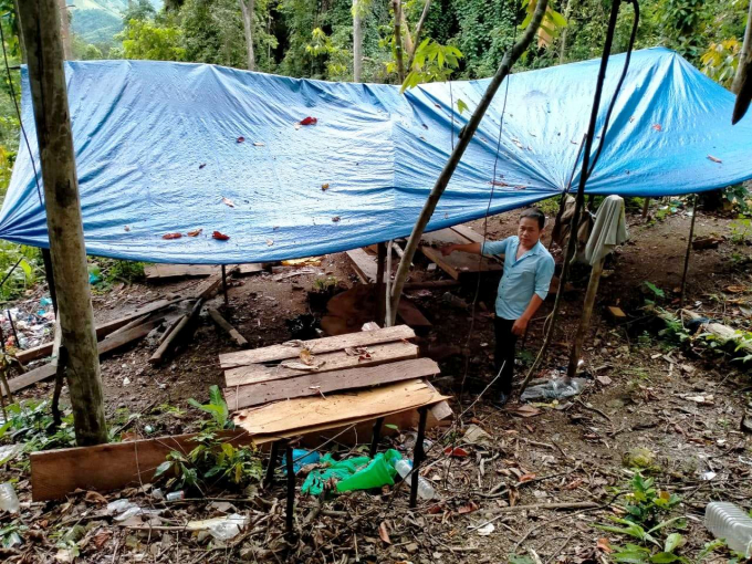 Lán trại được dựng lên tại nơi khu rừng bị phá. Ảnh: Tiến Thành.