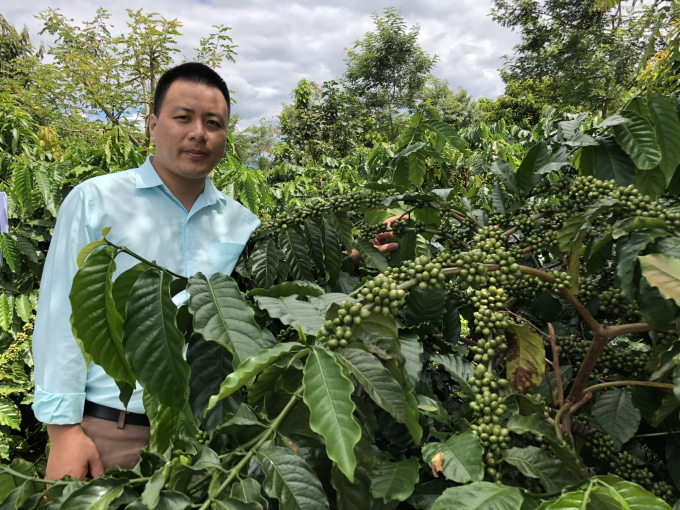 VnSAT đang làm thay đổi nhận thức của người dân vể sản xuất và tái canh cà phê bền vững. Ảnh Tuấn Anh.