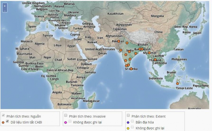 Bản đồ phân bố sâu đầu đen hại dừa tại châu Á. Ảnh: Cabi.