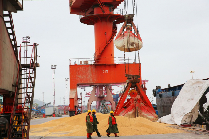 Bốc dỡ đậu tương nhập khẩu tại cảng Nantong, Trung Quốc. Ảnh: AFP/Getty Images.