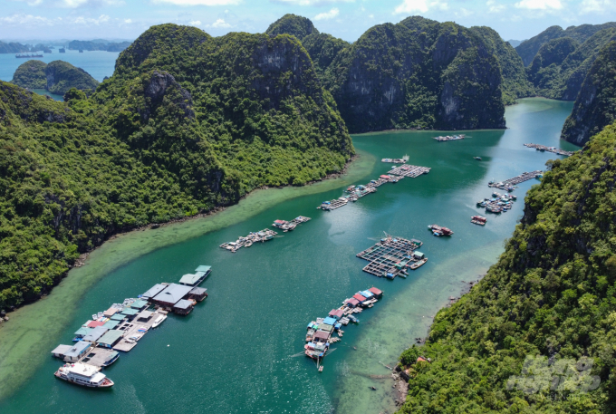 Từ trên cao nhìn xuống, Cửa Vạn giống như một thiên đường nhiệt đới, xung quanh là những ngọn núi phủ đầy cây xanh và nước biển trong và xanh nhạt vì không quá sâu. Năm 1963, làng chài Cửa Vạn được thành lập sau khi tập trung ngư dân sống rải rác trên các con thuyền lênh đênh trên vịnh về đây. Thời điểm đó, Cửa Vạn là làng chài lớn nhất trong số 7 làng chài trên Vịnh Hạ Long với hơn 100 hộ dân và gần 600 nhân khẩu và từng được trang du lịch Journeyetc.com đưa vào danh sách 16 ngôi làng cổ đẹp nhất thế giới.